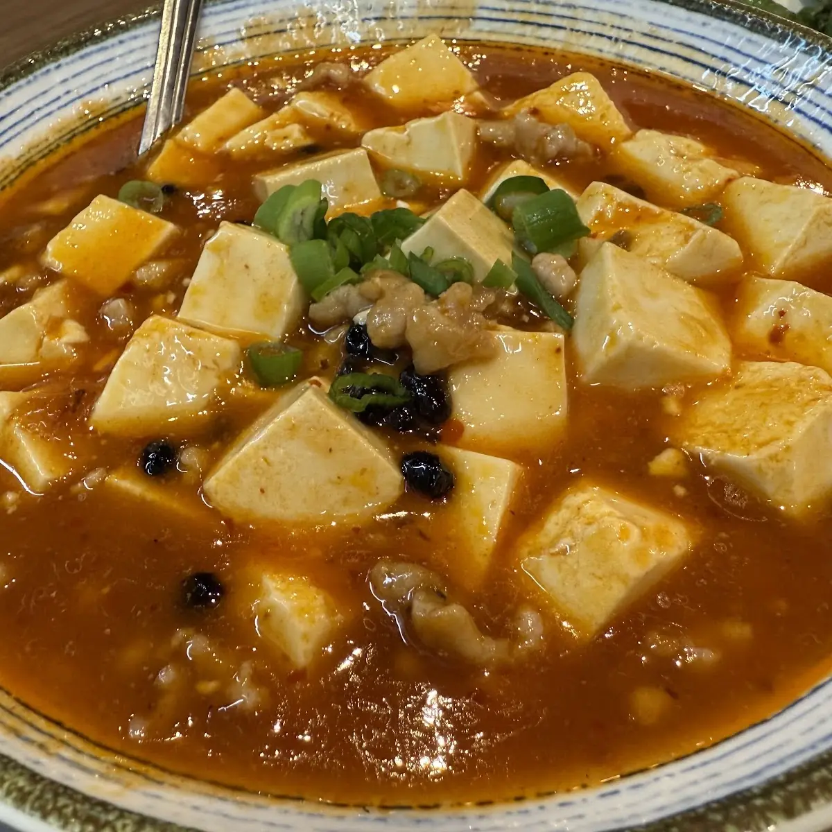 mapo tofu 麻婆豆腐